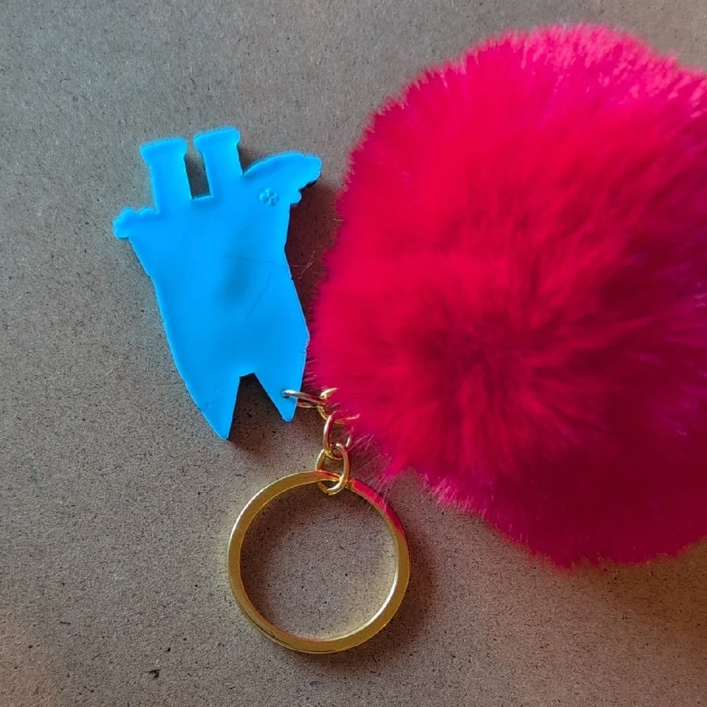 N/A vibrant keychain